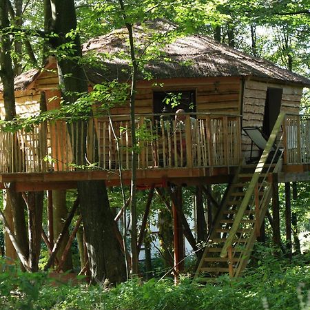 B&B La Cabane Du Bois Dormant Spa Eksteriør billede