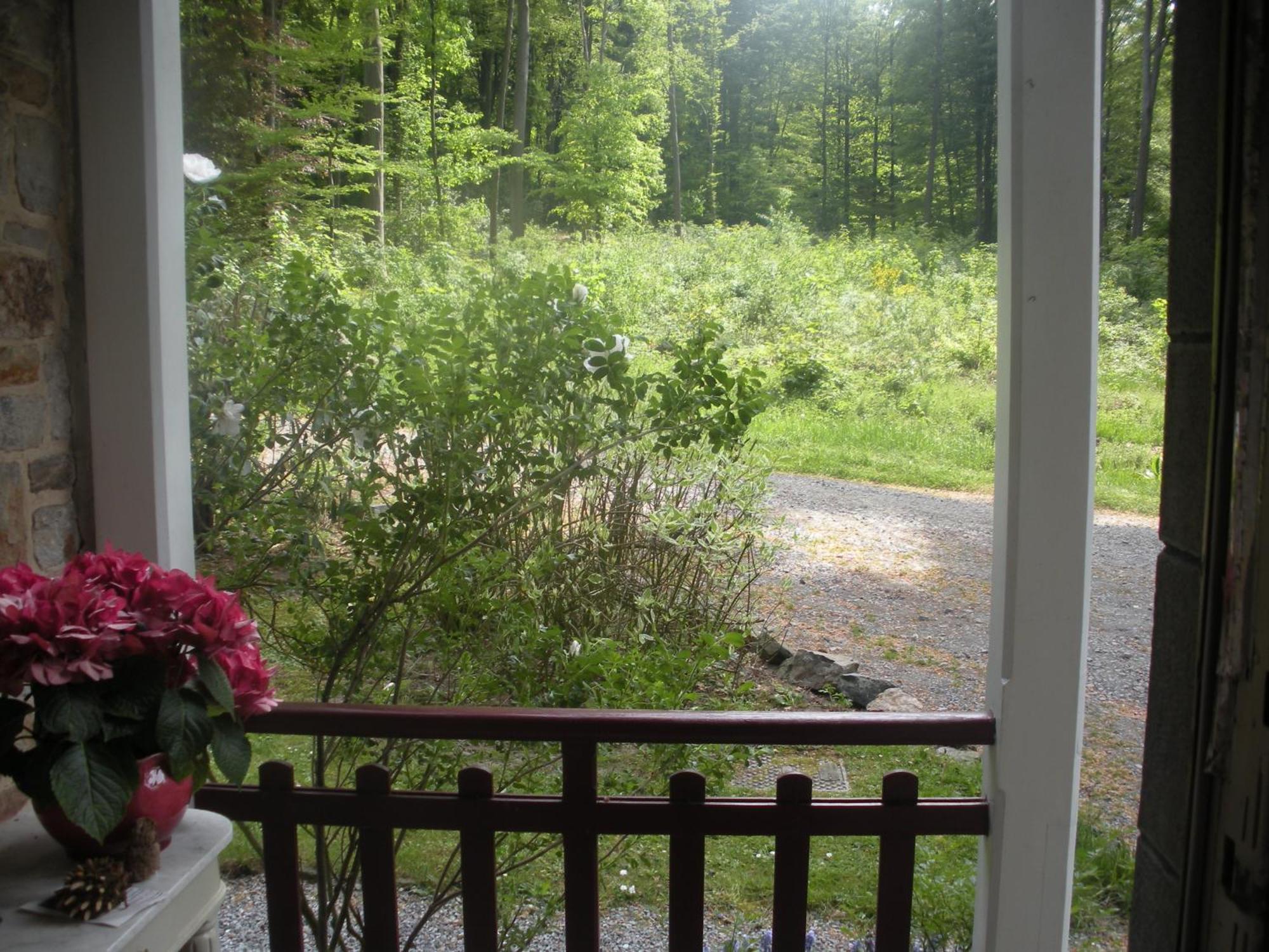 B&B La Cabane Du Bois Dormant Spa Eksteriør billede